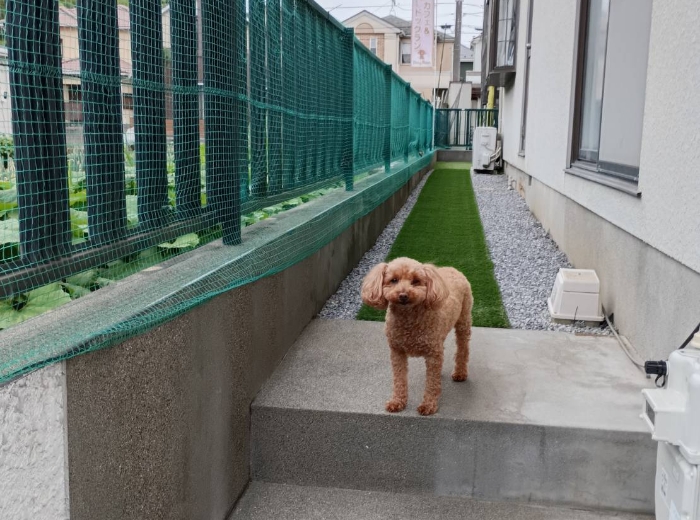 ワンちゃんもお子様も安心！