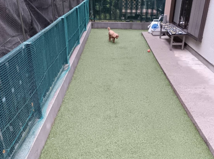 テイクアウト可能